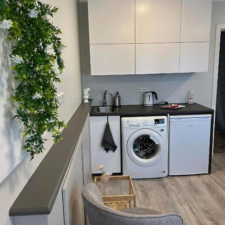Helena'S Studio, Reykjavik 104 المظهر الخارجي الصورة